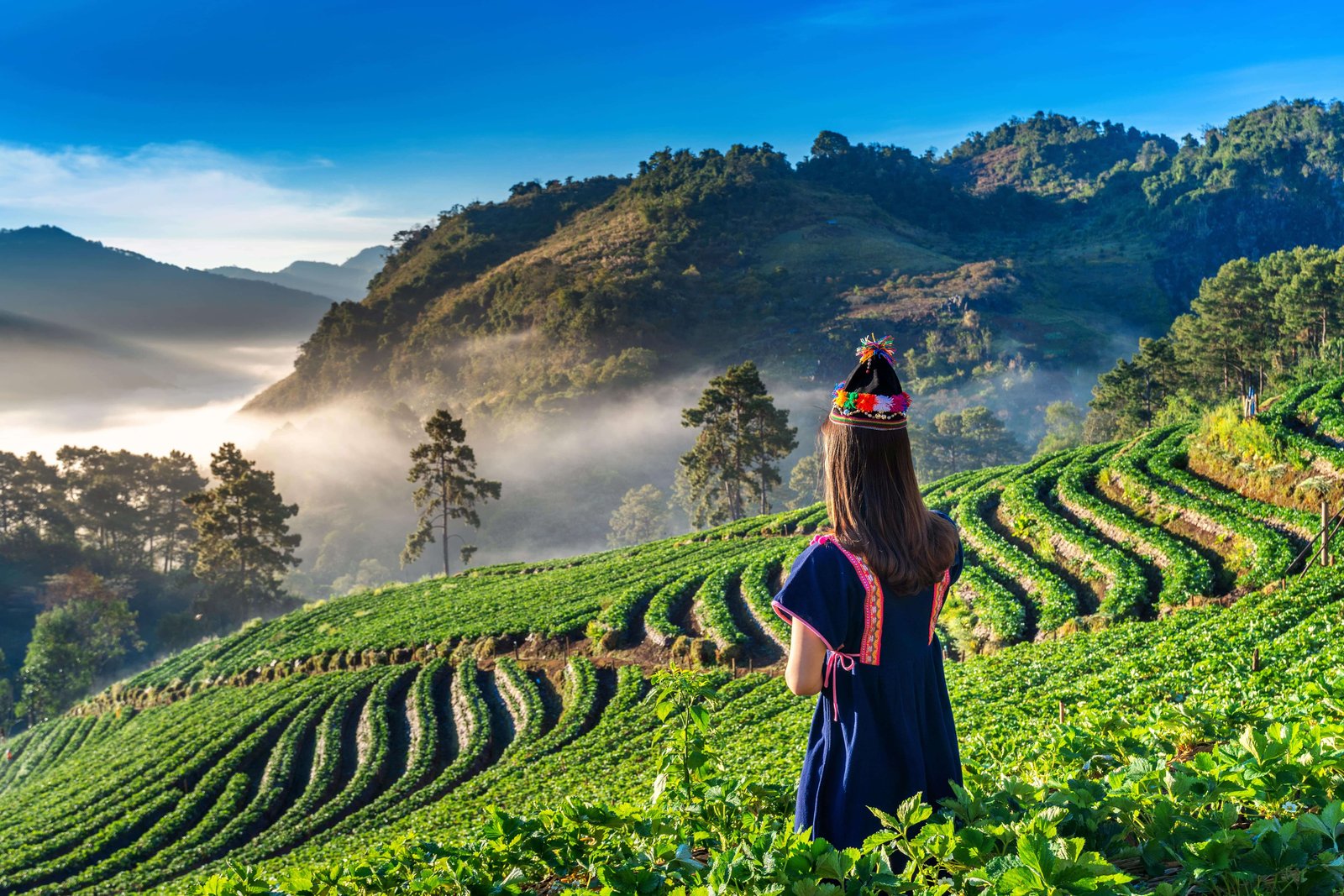 Kerala-moutain-view
