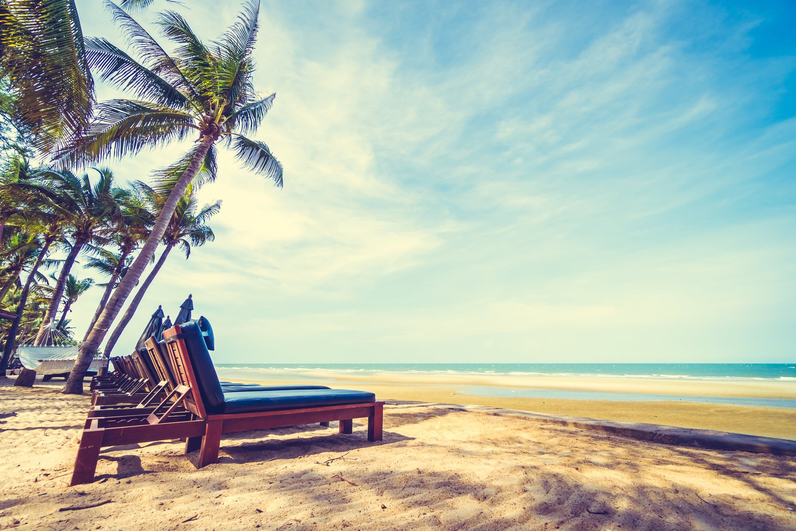 coconut-trees-on-seashore