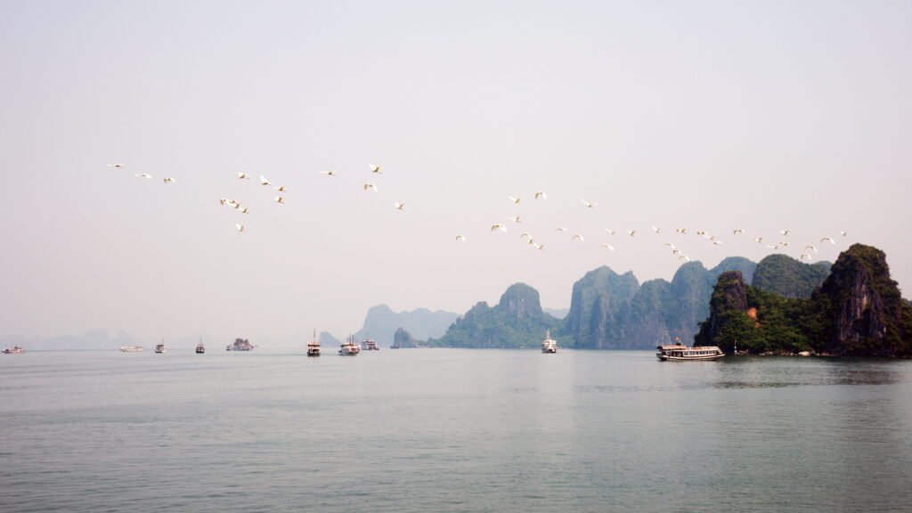 Vietnam-mountain