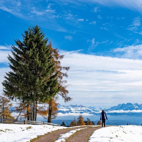 kashmir-snow